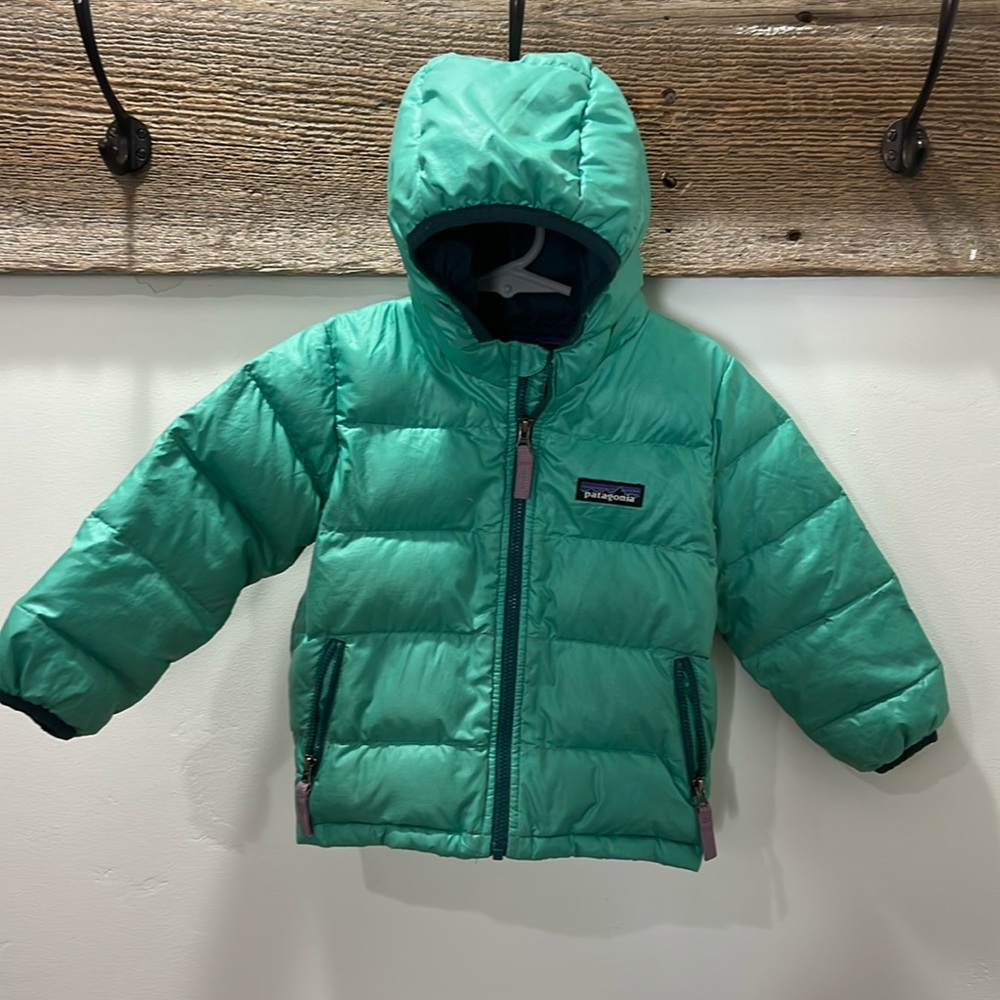 Baby Hi-Loft Down Sweater™ Hoody 12-18months